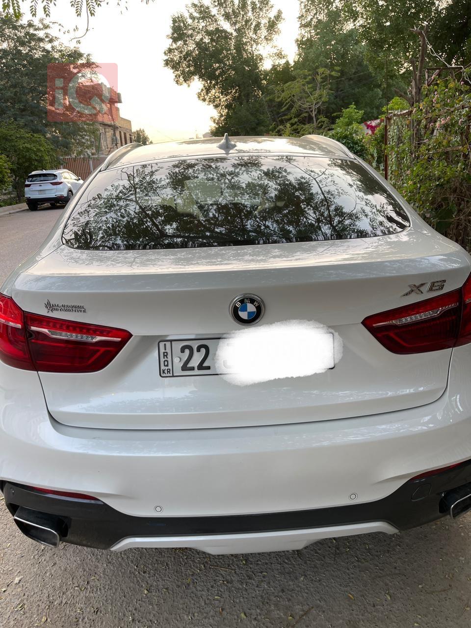 BMW X6